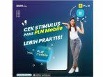 pln012a.jpg