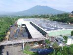 plts-atap-pt-aqua-golden-mississippi-di-ciherang-plant.jpg