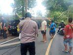 pohon-besar-tumbang-ke-bada.jpg