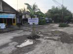 pohon-pisang-di-tengah-jalan-rusak.jpg