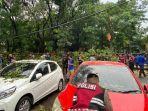 pohon-tumbang-yang-menimpa-mobil-di-Jalan-Cisadea-Kota-Bandung.jpg