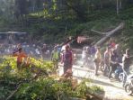 pohon-tumbang_20170625_092059.jpg