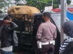 polisi-menghentikan-pikap-yang-memuat-sapi-limosin.jpg