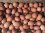potret-telur-ayam-di-lapak-pedagang.jpg