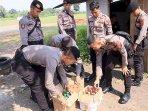 razia-miras-ciamis-1.jpg