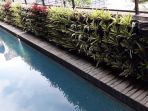 rumah-botol_20170707_193139.jpg