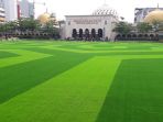 rumput-sintetis_20180921_142932.jpg