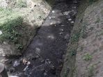 saluran-air-di-taman-kandaga-puspa-kota-bandung-selasa-2312018_20180123_145906.jpg