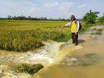 sungai-citanduy-meluap-kena-sawah.jpg