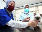 suntik-hewan-vaksin-rabies.jpg