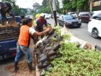 taman-di-jalan-pelajar-pejuang_20151119_164301.jpg
