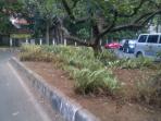 taman-kekeringan-di-bandung_20150730_173848.jpg