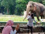 taman-margasatwa-ragunan-4.jpg