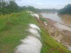 tanggul-besar-sungai-citanduy-nyaris-jebol-tiga-desa-di-pangandaran-terancam-banjir.jpg