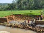 tanggul-irigasi-cipadaren-di-kawali-ciamis-jebol-30-hektare-sawah-terancam-gagal-panen.jpg