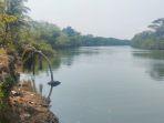 tanggul-sungai-citanduy-pohon-kelapa.jpg