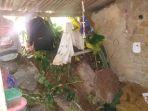 tebing-longsor-hantam-rumah-udin.jpg