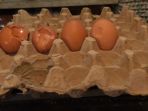 telur-pecah_20180718_181259.jpg