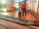 ular-sanca-kembang-koleksi-awetan-predator-fun-park.jpg