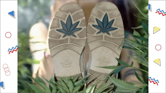Sejarah Arti 420 yang Sebenarnya, Apa Fakta Dibalik Hari Ganja Ini?