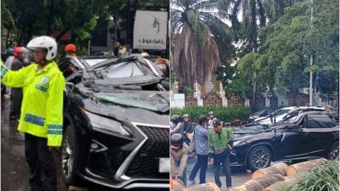 Mobil Lexus Remuk Tertimpa Pohon Tumbang di Pondok Indah Jaksel, Pria Paruh Baya Tewas