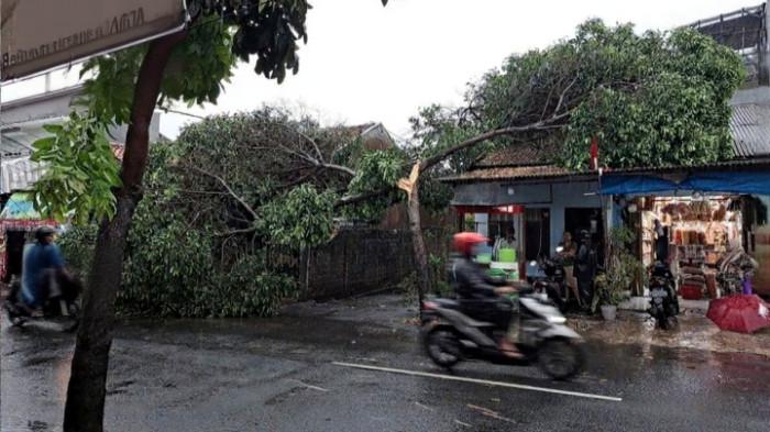 POHON TUMBANG DI JAKTIM - Pohon tumbang di Jalan Kalisari Raya, Kelurahan Kalisari yang menimpa rumah warga, Pasar Rebo, Jakarta Timur, Rabu (20/8/2025)