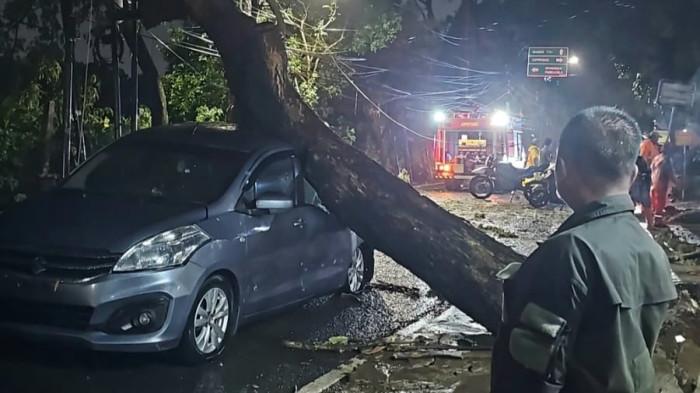 POHON TUMBANG DI JAKTIM -Pohon tumbang yang menimpa mobil warga di Jalan Mabes Hankam, Kelurahan Setu, Kecamatan Cipayung, Jakarta Timur, Rabu (20/8/2025)