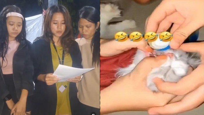 Tampang Memelas 3 Wanita di Padang Cekoki Kucing Pakai Miras, Siap Biayai Pengobatan ke Dokter Hewan