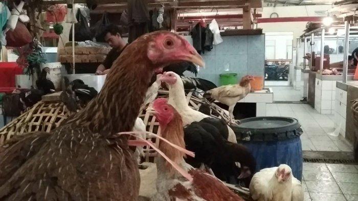 Jelang Ramadan di Pasar Koja, Harga Bawang Putih dan Daging Ayam Merangkak Naik