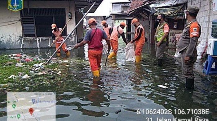 Tak Hanya Pesisir Jakarta Utara, Banjir Rob Juga Terjang 3 RT di Tegal Alur Jakarta Barat