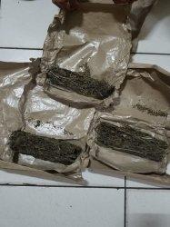 Polisi Tangkap Pengedar Ganja di Bojonggede, Barang Bukti Dibungkus Dalam Kertas Nasi