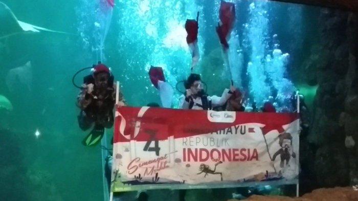 HUT ke-76 RI, Sea World Bakal Gelar Upacara Pengibaran Bendera Merah Putih di YouTube dan Instagram