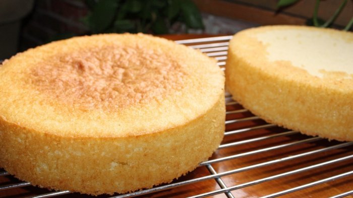 Seorang Ibu Sulap Bolu Biasa Jadi Kue Ulang Tahun Unik untuk Anak Kembarnya