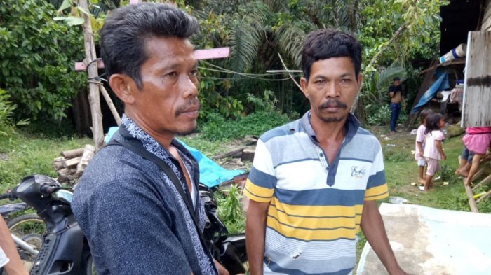 Pasutri Tertimpa Pohon Sawit Usai Mencoblos, Sang Istri Tewas