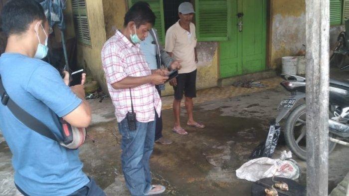 Kronologi Terbongkarnya Rumah Jagal Kucing di Medan, Berawal dari Hilangnya Tayo