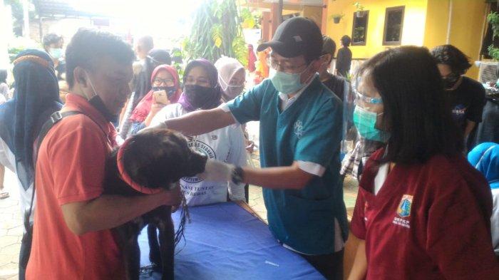 Dinas KPKP Pastikan DKI Bebas Rabies: Sudah Sejak 2004