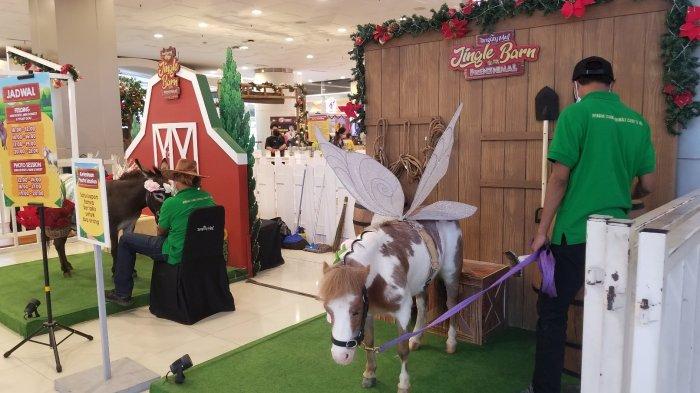 Berbagai Binatang Imut Masuk Mal di Tangerang Sambut Natal dan Tahun Baru 2022