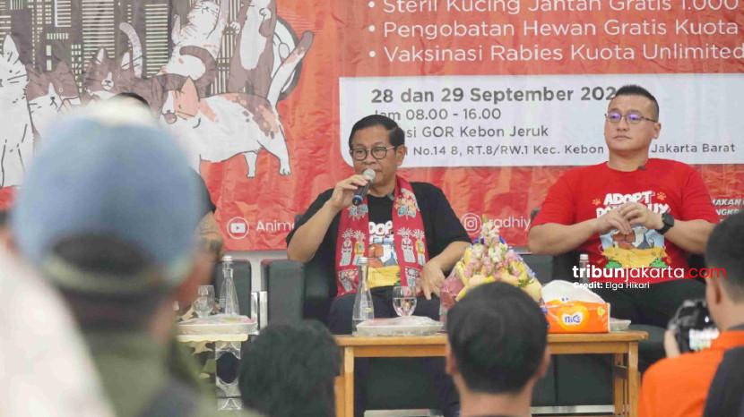 Tribun