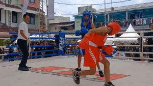 BOXING-SHOW-utara.jpg