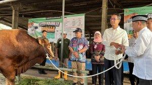 Gubernur-DKI-Jakarta-Heru-Budi-Hartono-saat-menyerahkan-sapi-kurban-seberat-1-ton.jpg