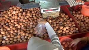 HARGA-TELUR-NAIK-Harga-telur-ayam-negeri-di-Pasar-Proyek-Sukapura-Cilincing-Jak.jpg