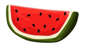 Ilustrasi-semangka-vektor.jpg