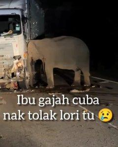 Instagram-farezeysz.jpg