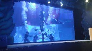 Jakarta-Aquarium-Safari-JAQS-gelar-lomba-panjat-pinang-underwater-tanpa-alat-bantu-selam.jpg