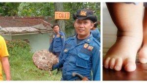 Ketua-RT-saat-evakuasi-sarang-tawon-kabupaten-bogor.jpg