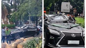 Kondisi-mobil-Toyota-Lexus-yang-tertimpa-pohon-tumbang-di-Ja.jpg