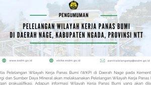 Pelelangan-wilayah-kerja-panas-bumi-di-daerah-Nage.jpg