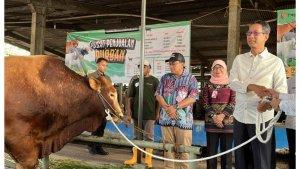 Penjabat-Pj-Gubernur-DKI-Jakarta-Heru-Budi-Hartono-saat-menyerahkan-sapi-kurban.jpg