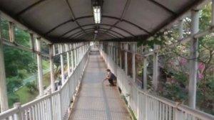 Seorang-pria-diduga-buang-air-besar-BAB-di-JPO-kawasan-Semanggi-Setiabudi.jpg