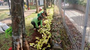TAMAN-FLAMBOYAN.jpg